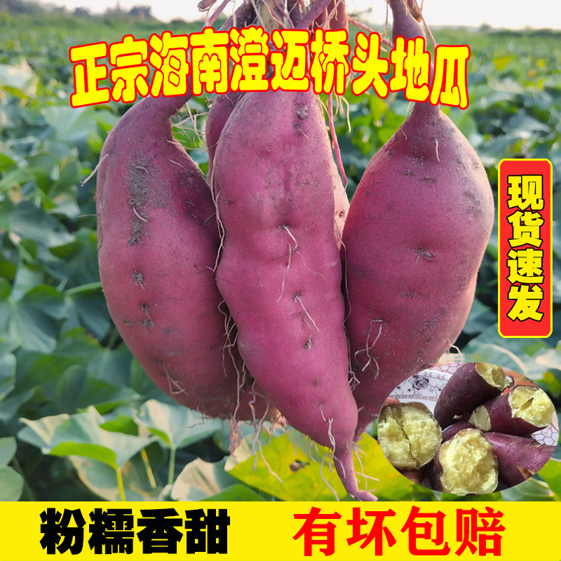 正宗海南澄迈桥头富硒地瓜沙地板栗薯新鲜种植现挖现发5斤/9斤装