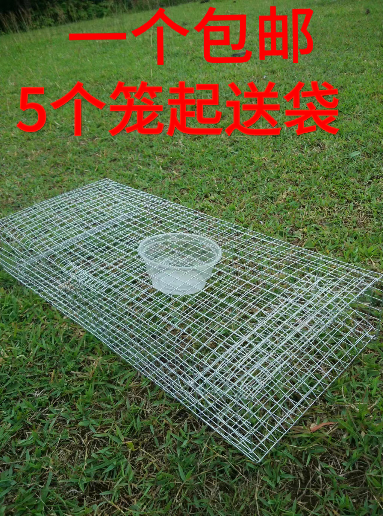 户外蛇笼长虫笼小鸡笼宠物笼大号单双进口捕笼铁丝笼子防锈方便