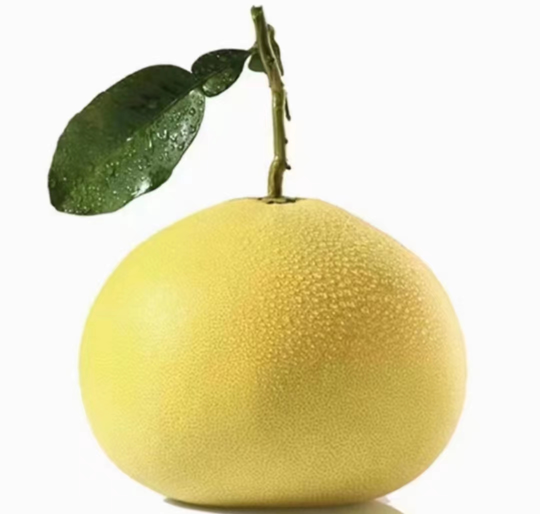 大果特大果规格【玉环文旦】当季文旦孕妇柚子白心果肉脆爽酸甜可口