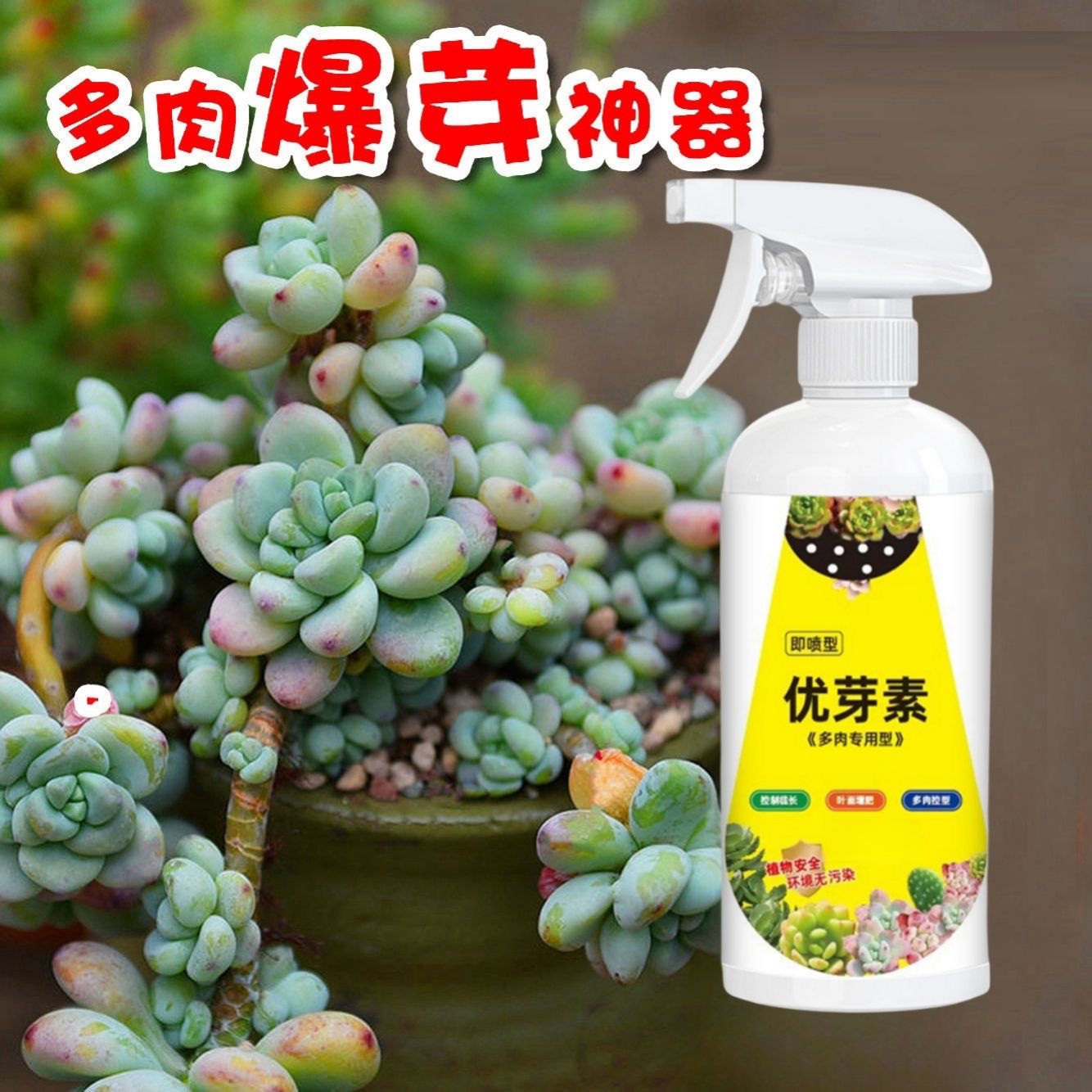 优芽素多肉专用叶插移栽促芽催芽爆芽素花盆家用肥料营养液