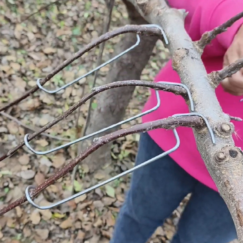 16型拉枝器侧枝拉枝定型器果树背上枝固定器开角工具枣树拉枝工具