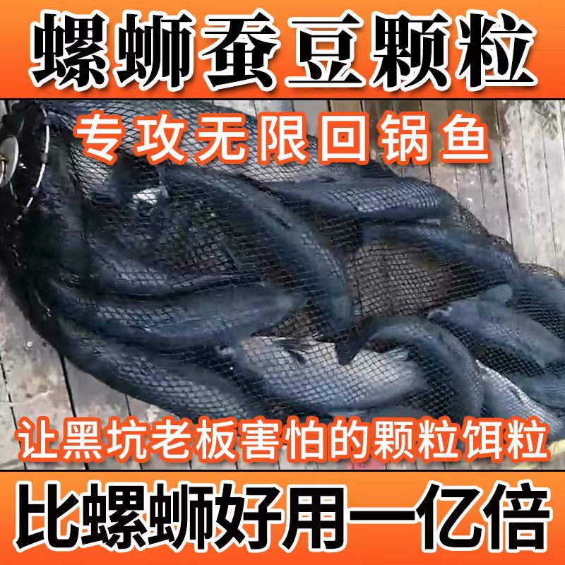 颗粒界扛把子新款大物打窝青鱼蚕豆颗粒皮筋挂钩饵料青鱼颗粒饵料