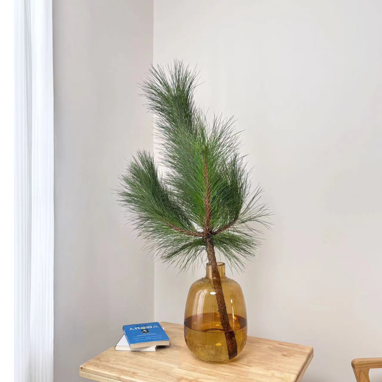 【马尾松】高品质小众鲜切水培绿植寓意好松木香