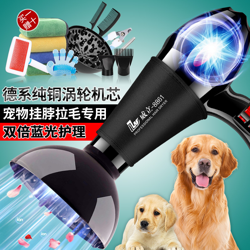 宠物店吹干挂脖拉毛德系狗狗速干洗澡专用大功率大型犬宠物吹水机