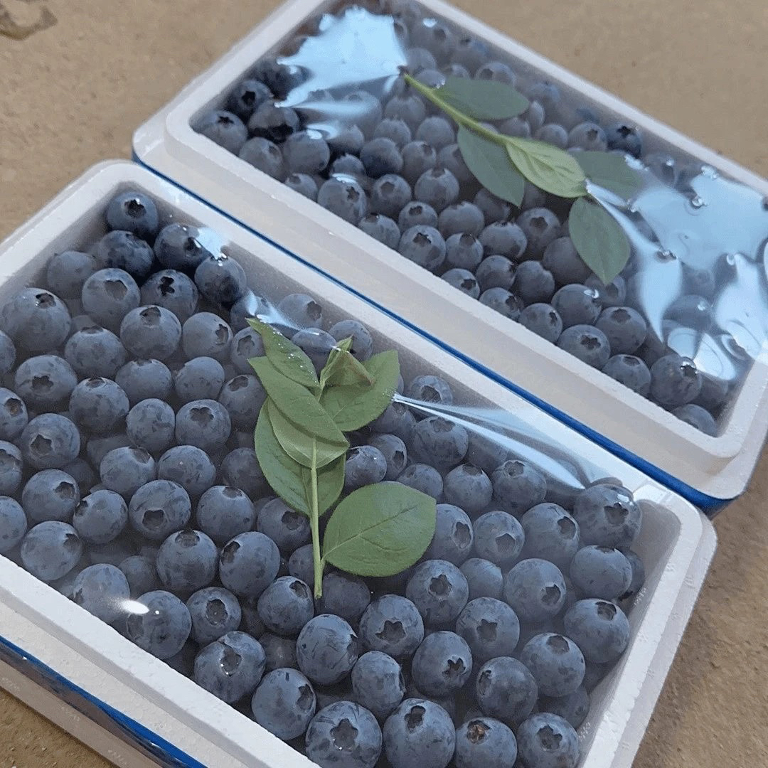 【冷链顺丰直发】蓝莓特大果18mm➕花香蓝莓新鲜多汁孕婴100克/含盒