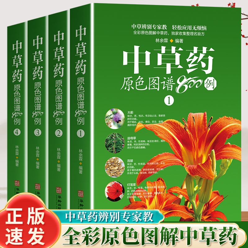 中草药原色图谱800例 中草药彩图大全书中医药学书籍中草药全图鉴