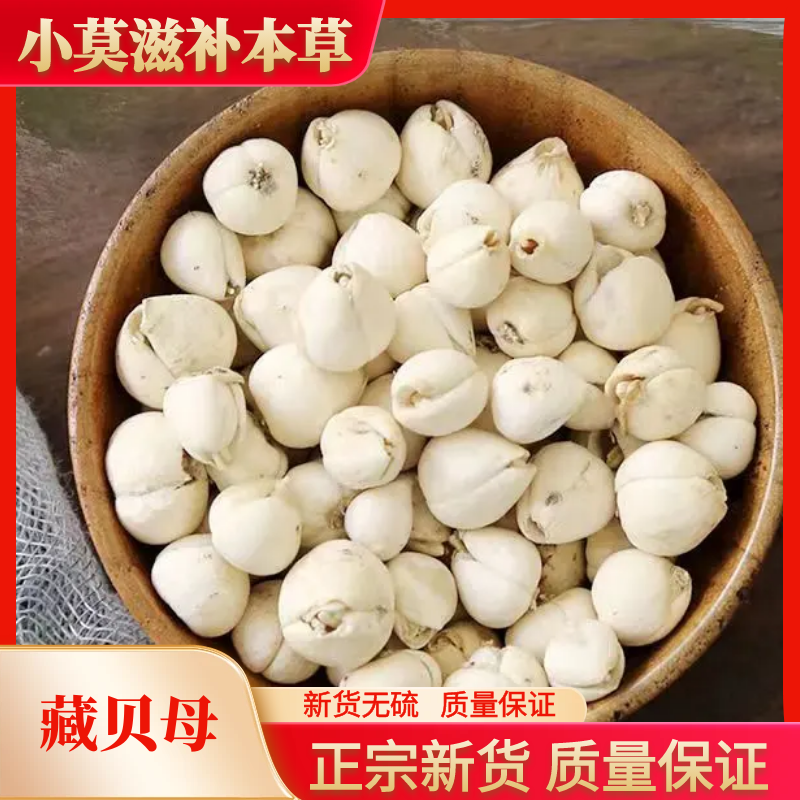 藏贝母正宗精选新货贝母颗粒原色干货散装炖梨100-200g包邮非川贝