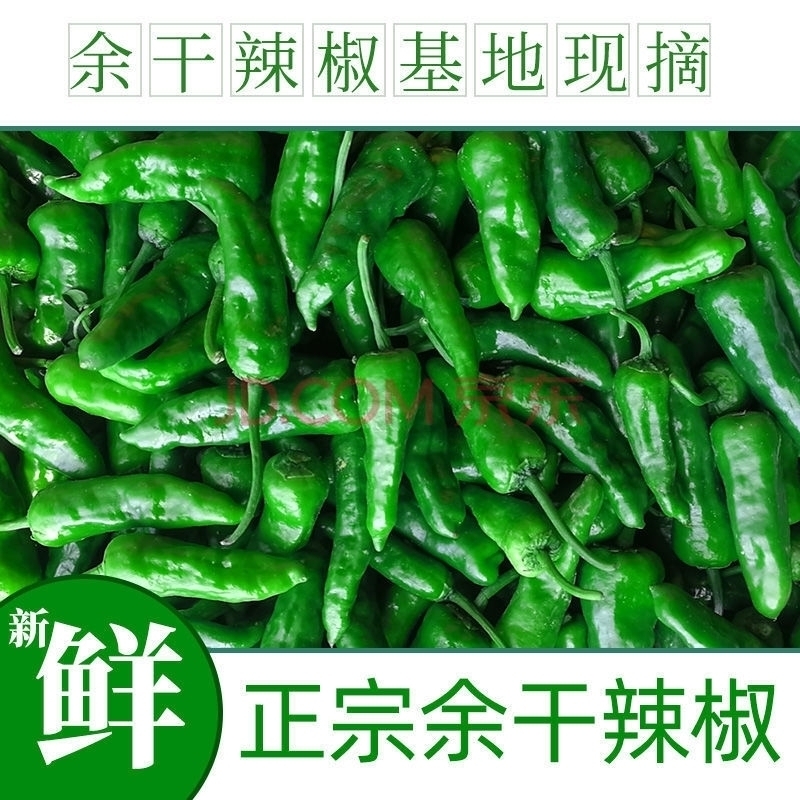 余干枫树李家原产地的枫树辣椒现摘现发2斤包邮农产品