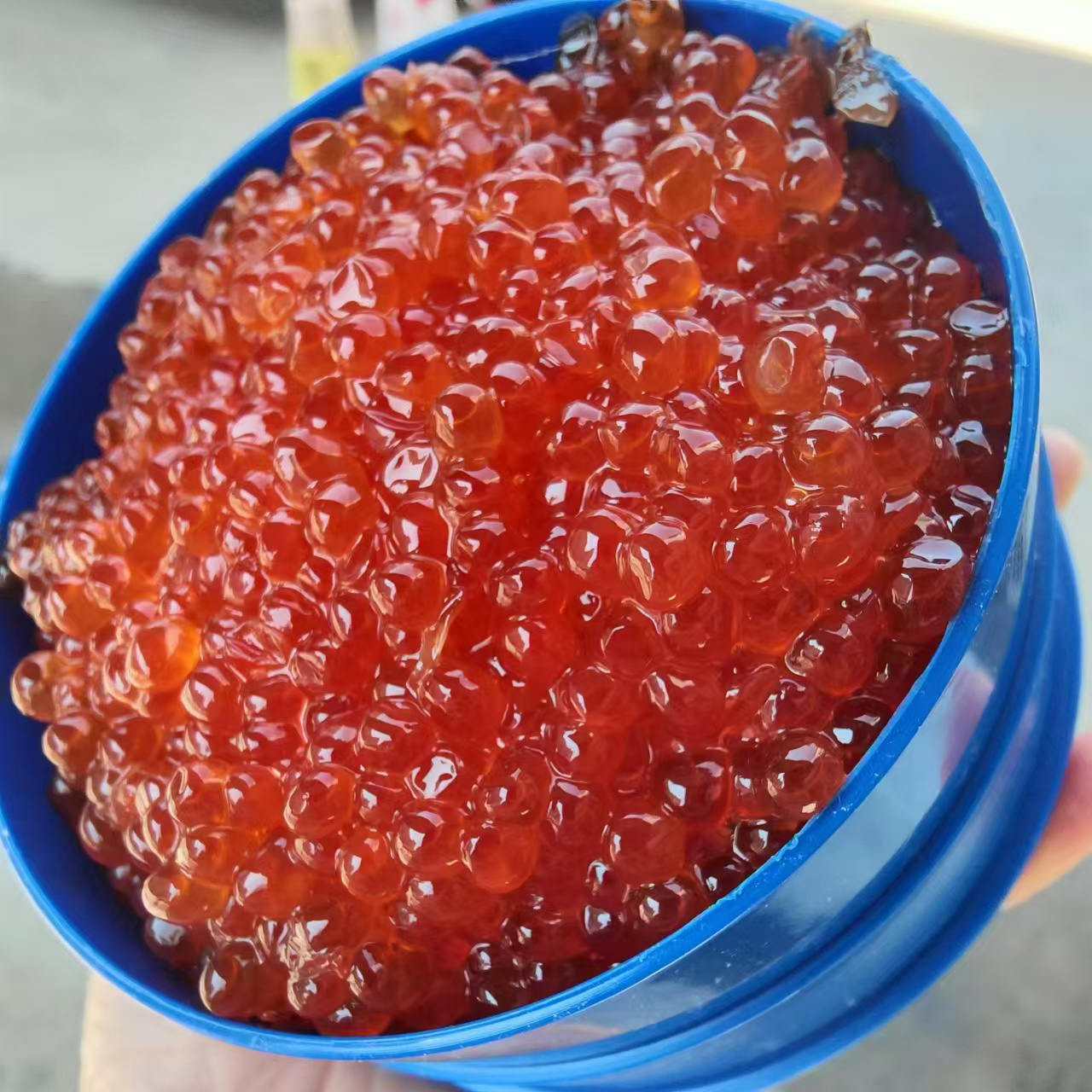 一斤装真鱼籽纯大马哈鱼籽500克大粒咸油籽新鲜鱼子油籽