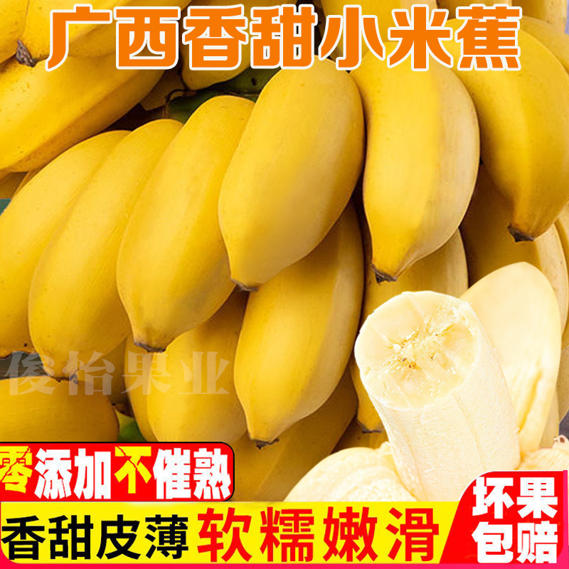 【买5斤送5斤】广西小米蕉现摘现发产地直发2-10斤皇帝蕉水果批发