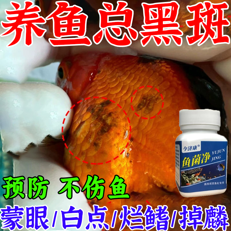 观赏鱼鱼菌净养鱼总黑斑红斑掉烂肉掉鳞蒙眼凸眼擦缸不爱动