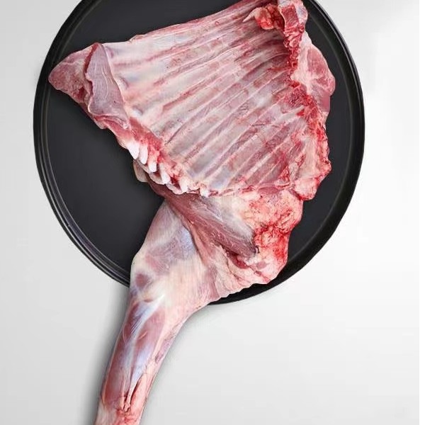 羊前腿带排   直播