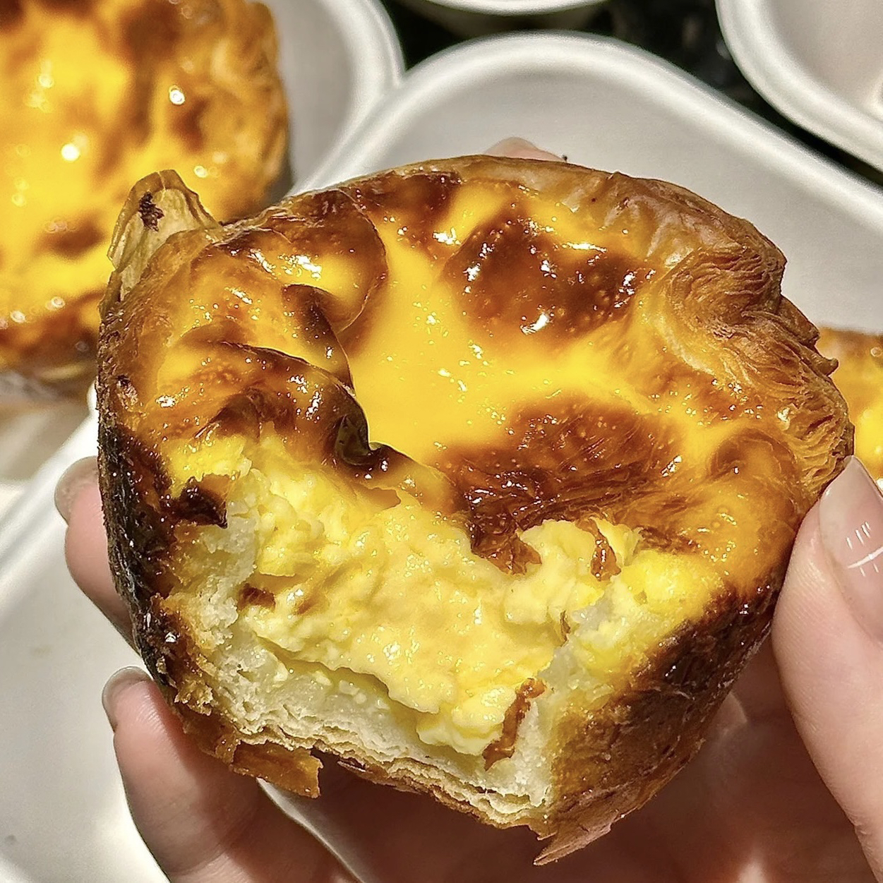 法式可颂蛋挞【酥香浓郁不甜腻】黄油蛋挞冷冻锁鲜甜品下午茶顺丰