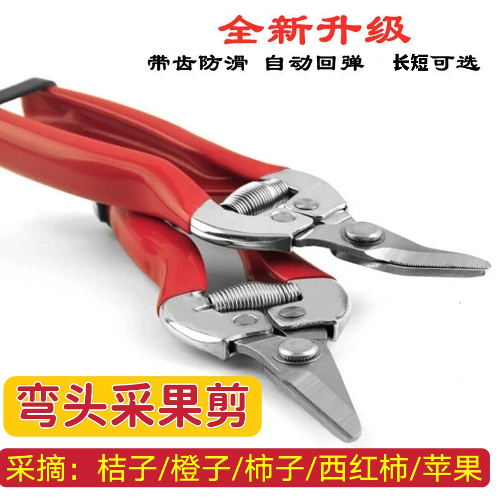 西红柿采摘专用剪刀翘头不锈钢园艺稀果修边采果剪子锯齿款弯头剪