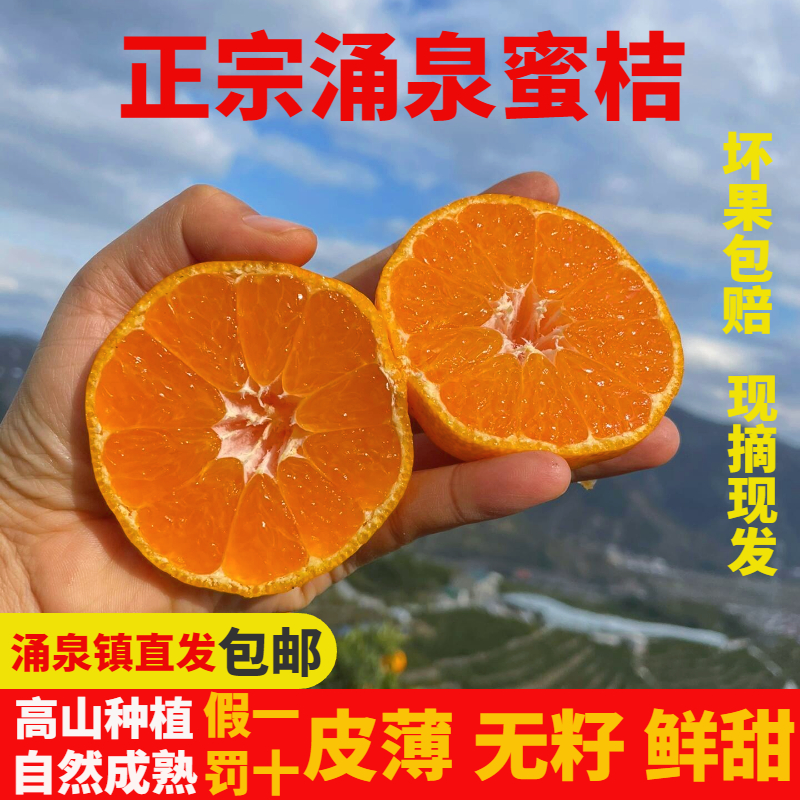 正宗涌泉蜜桔新鲜果园现摘直发当季水果