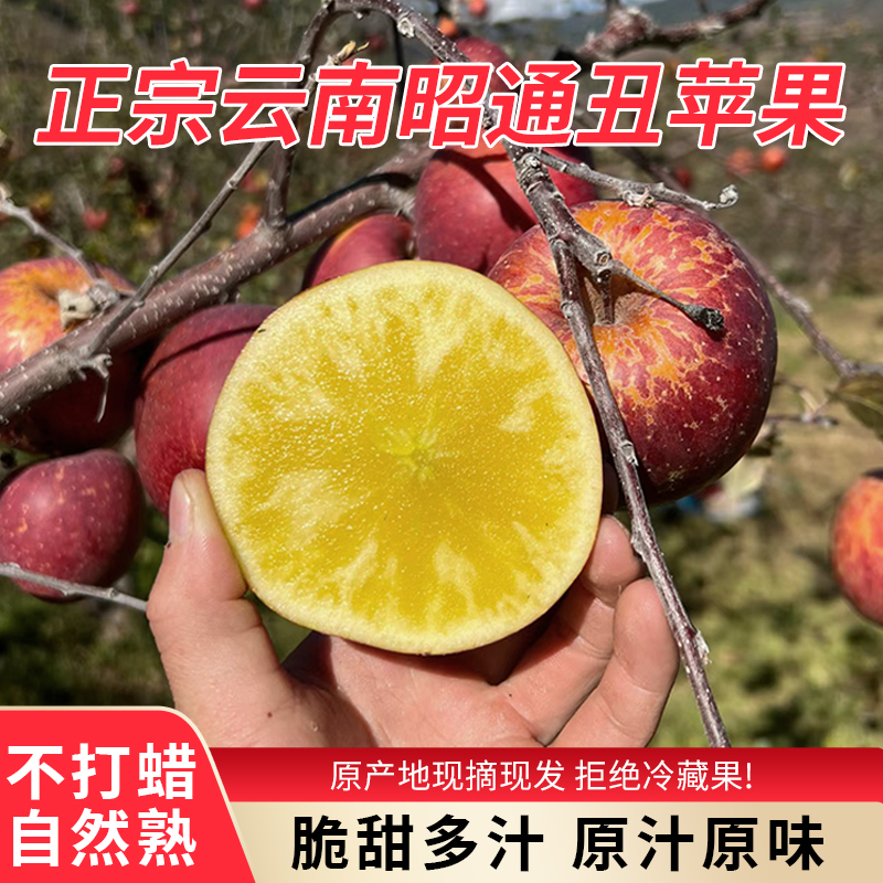 正宗云南昭通冰糖心丑苹果应季新鲜红富士现摘现发5整箱包邮