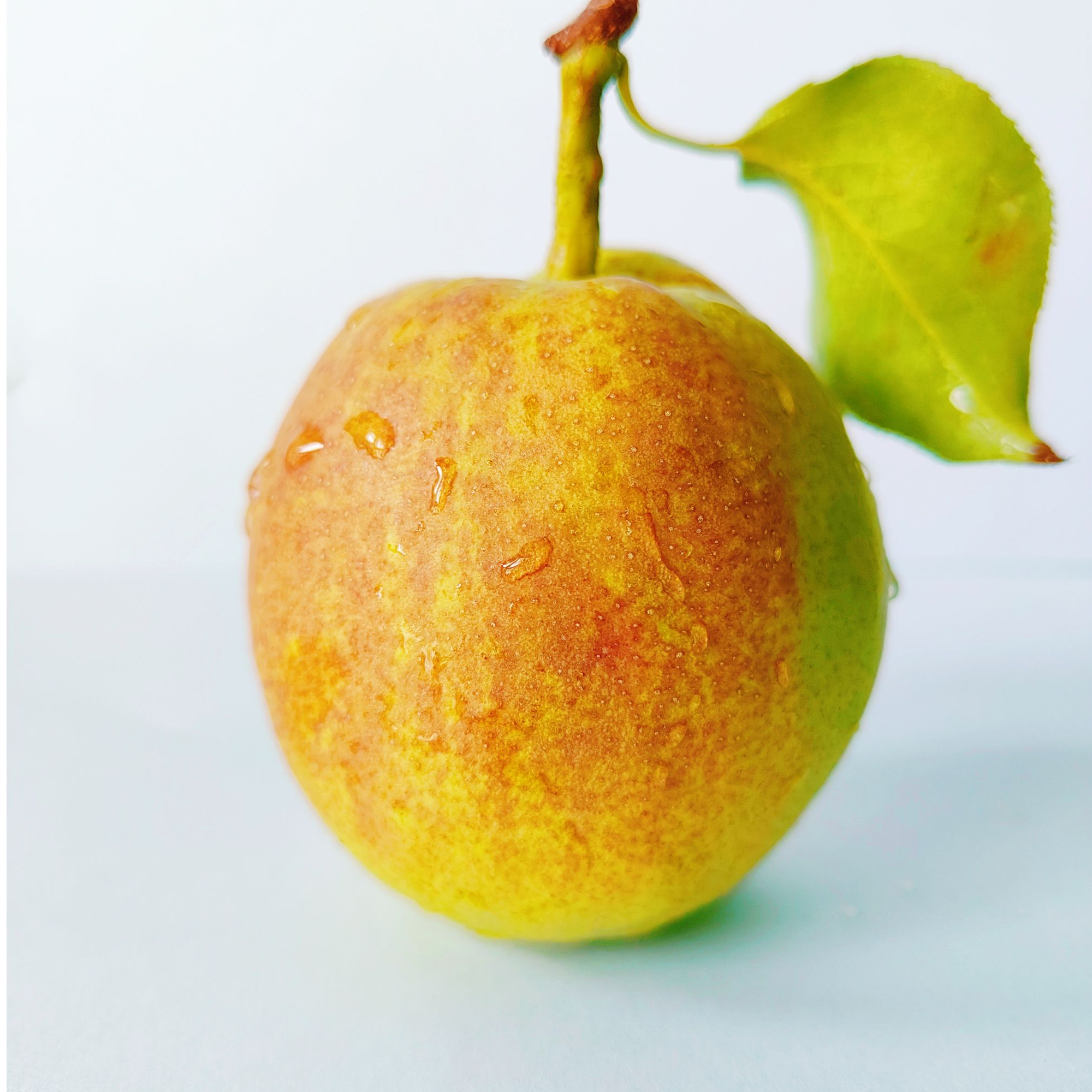 正宗的库尔勒香梨，原产地发货，80-100克新疆库尔勒