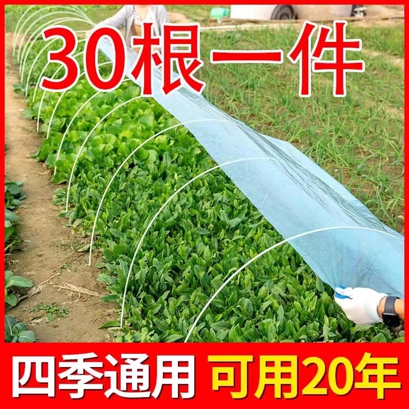 30根小拱棚支架保温棚花棚蔬菜棚拱杆农用大棚骨架葡萄遮雨棚防雨