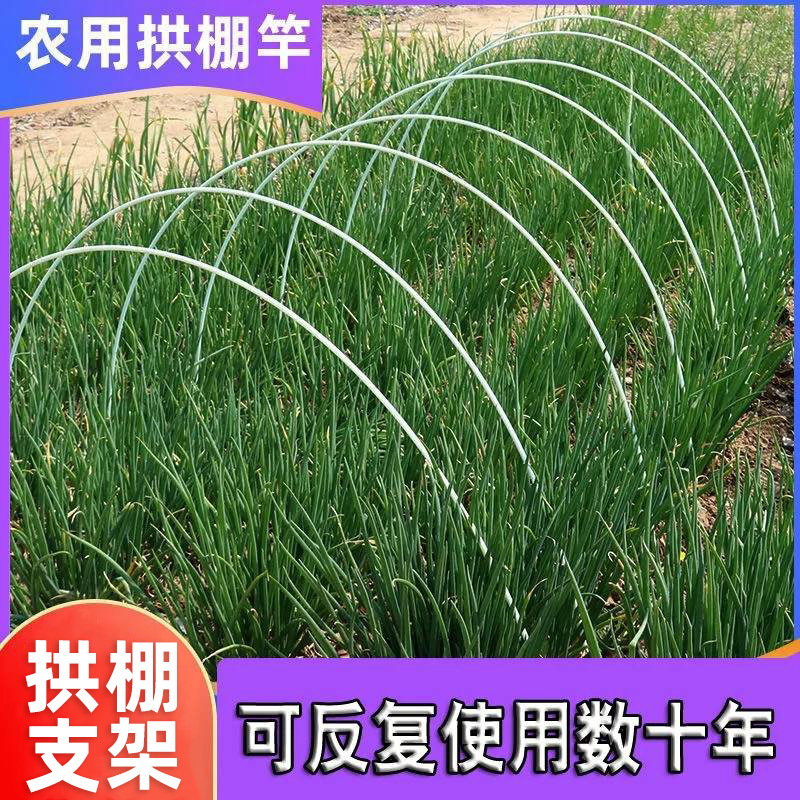 拱棚支架保温棚家用菜棚小型户外种蔬菜瓜果花卉育苗简易春季骨架