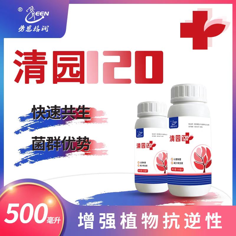 清园果树大树园林