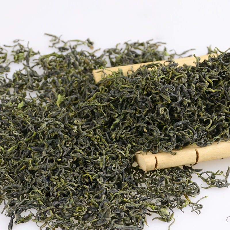 崂山绿茶春茶豆香一斤四包装五月底六月初炒制