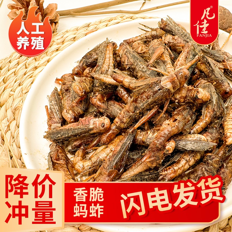 （香脆）带翅香酥蚱蜢香脆油炸蝗虫食用下酒菜山东特产香辣孜然即食