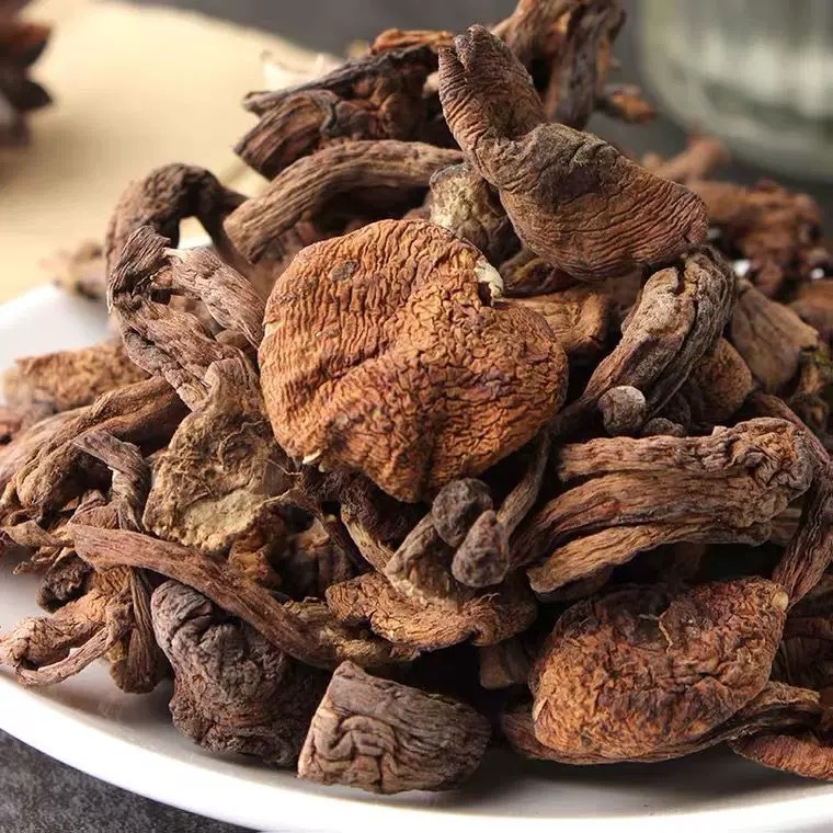 东北小兴安岭高寒地区伊春野蘑菇炖鸡榛蘑菇包邮新货