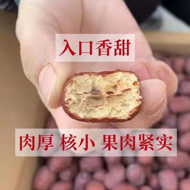 5斤新货带土灰枣原生态树上自然风干肉厚核小散装y