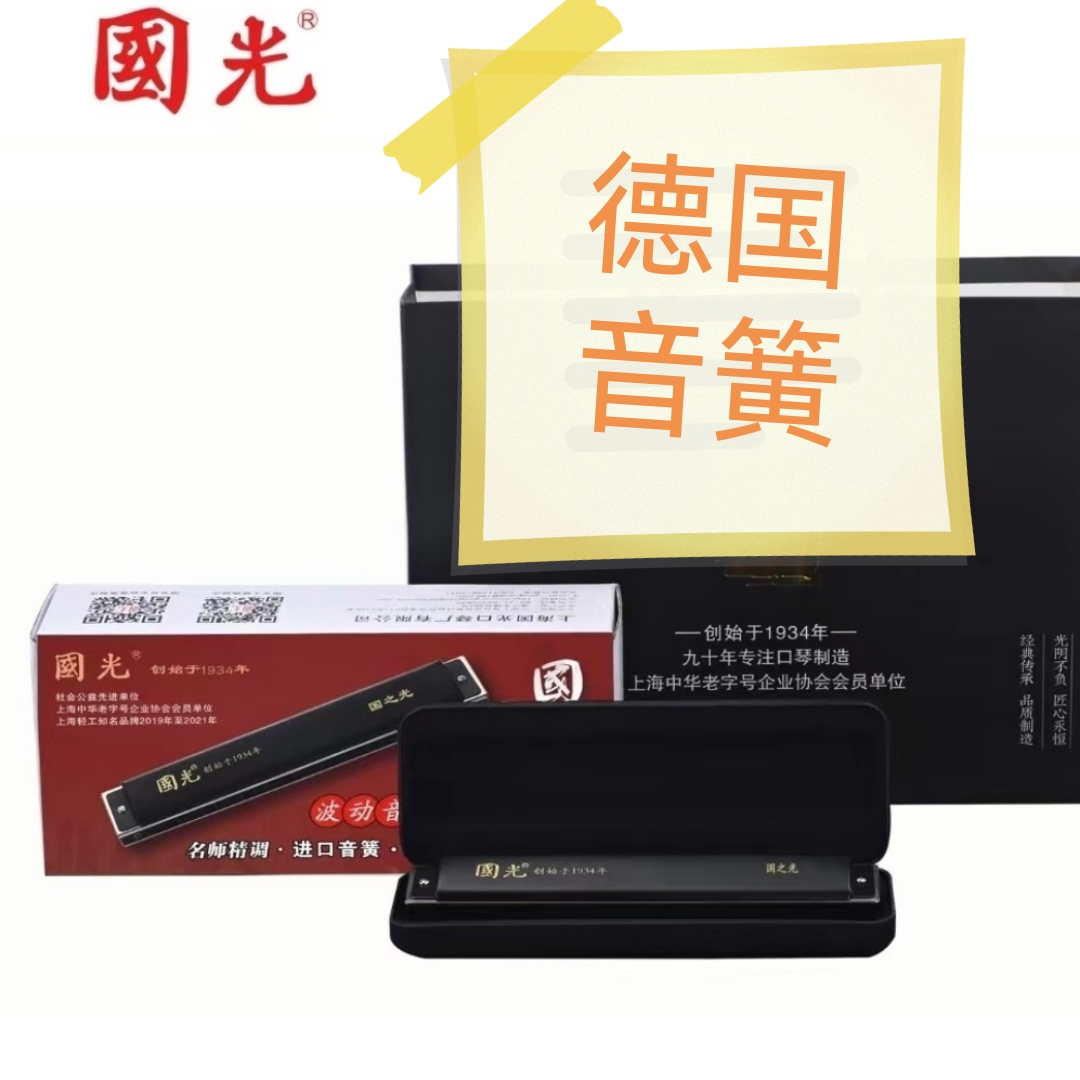 国光24孔复音口琴波动音十二调专业演奏级乐器成人学生通用
