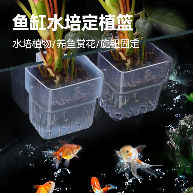 鱼缸造景摆件水培定植篮透明装饰水草水植物挂式海沙子溪流海葵迷