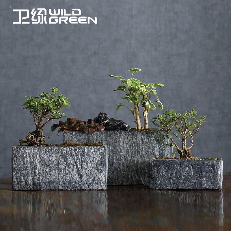 卫绿创意北欧简约长方形仿石透气绿萝多肉蝴蝶兰文竹水泥花盆室内