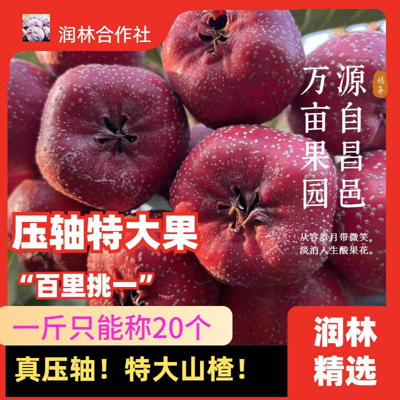 润林★红果【山楂王】超大山楂果★京东包邮★20个一斤★新鲜采摘鲜果