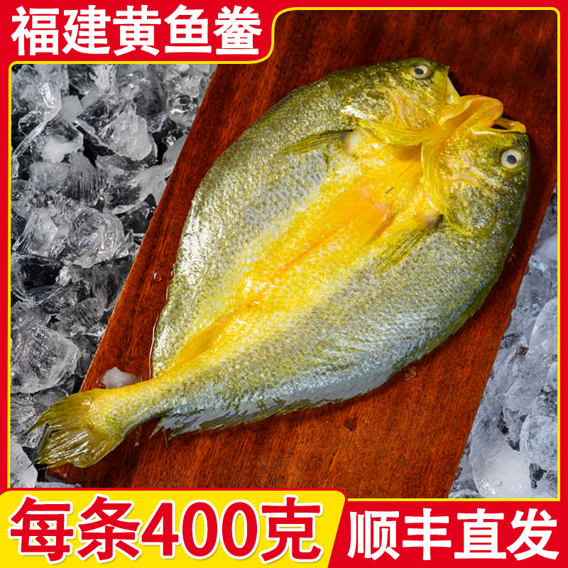 【每条400g】福建宁德黄鱼鲞正宗黄花鱼三去大黄鱼腌制冷冻克非干货