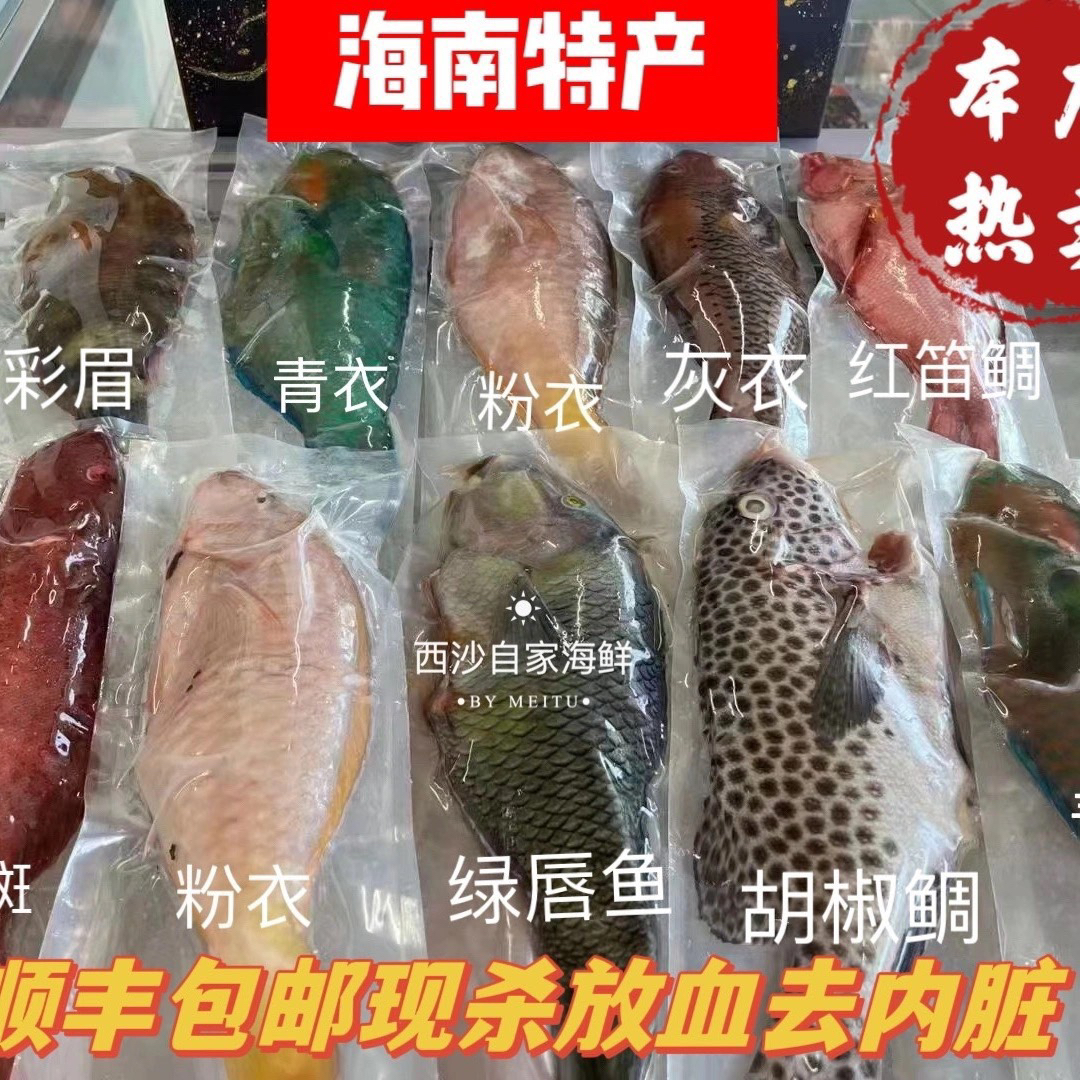 海南西沙野生海鱼礼盒青衣鱼粉衣红笛鲷鱼人工潜水搭配送人有面子