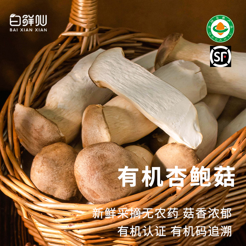 有机杏鲍菇真正纯有机蔬菜新鲜配送到家菌菌菇蔬菜鸡腿菇蘑菇烹饪