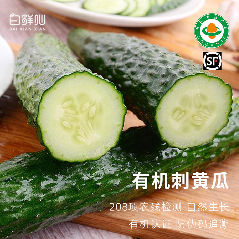 有机刺黄瓜青瓜生吃沙拉轻食真正纯有机蔬菜新鲜配送到家正宗3斤