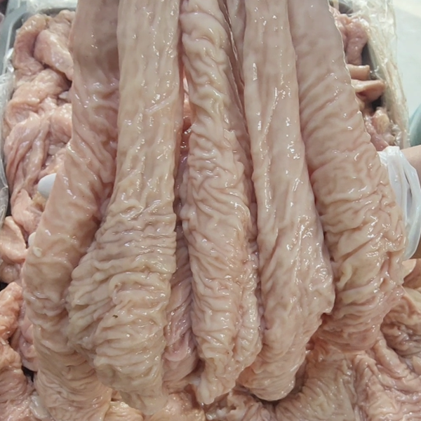 新鲜大肠头猪肥肠散养猪大肠头花肠肥猪大肠头带油猪肥肠肥肠批发