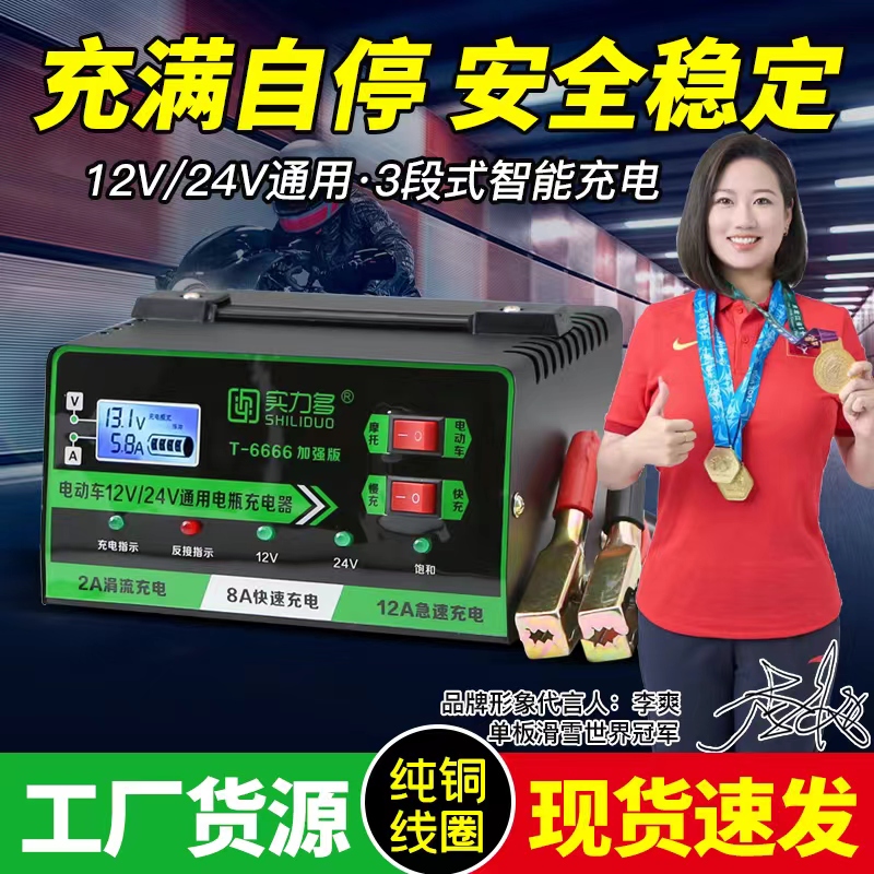 【工厂直销】电动车摩托车充电器12v/24v电瓶通用高效充电器