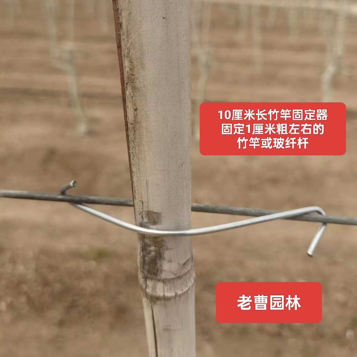 果树主干支柱固定器竹竿固定卡拉枝器果树防风固定器 固定卡