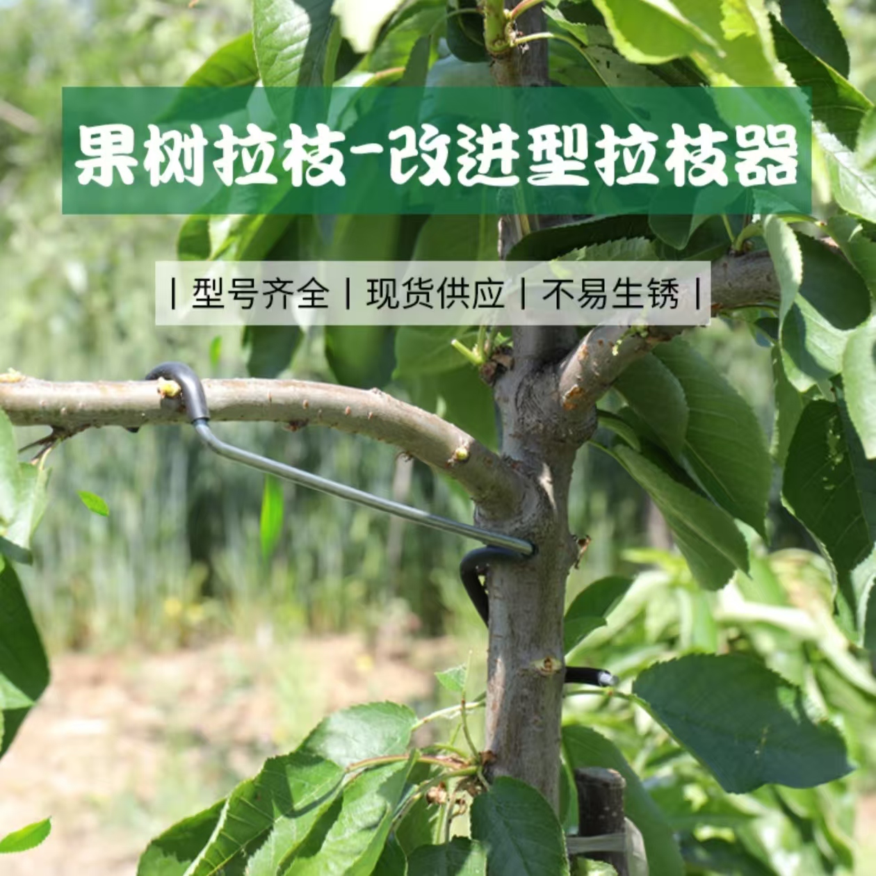 果树拉枝器改进型18厘米26厘米36厘米热镀锌钢丝材质开角定型器