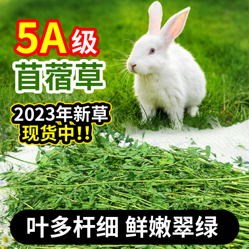 兔粮烘干苜蓿草兔子龙猫荷兰猪牧草干草饲料成兔幼兔粮食物粗纤维