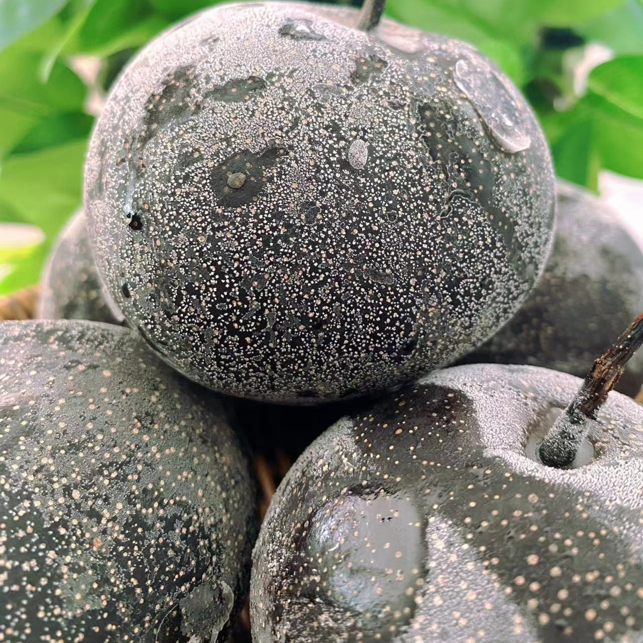 【东北冻梨】辽宁特色水果新鲜大冻秋梨冷冻苹果梨肉厚多汁