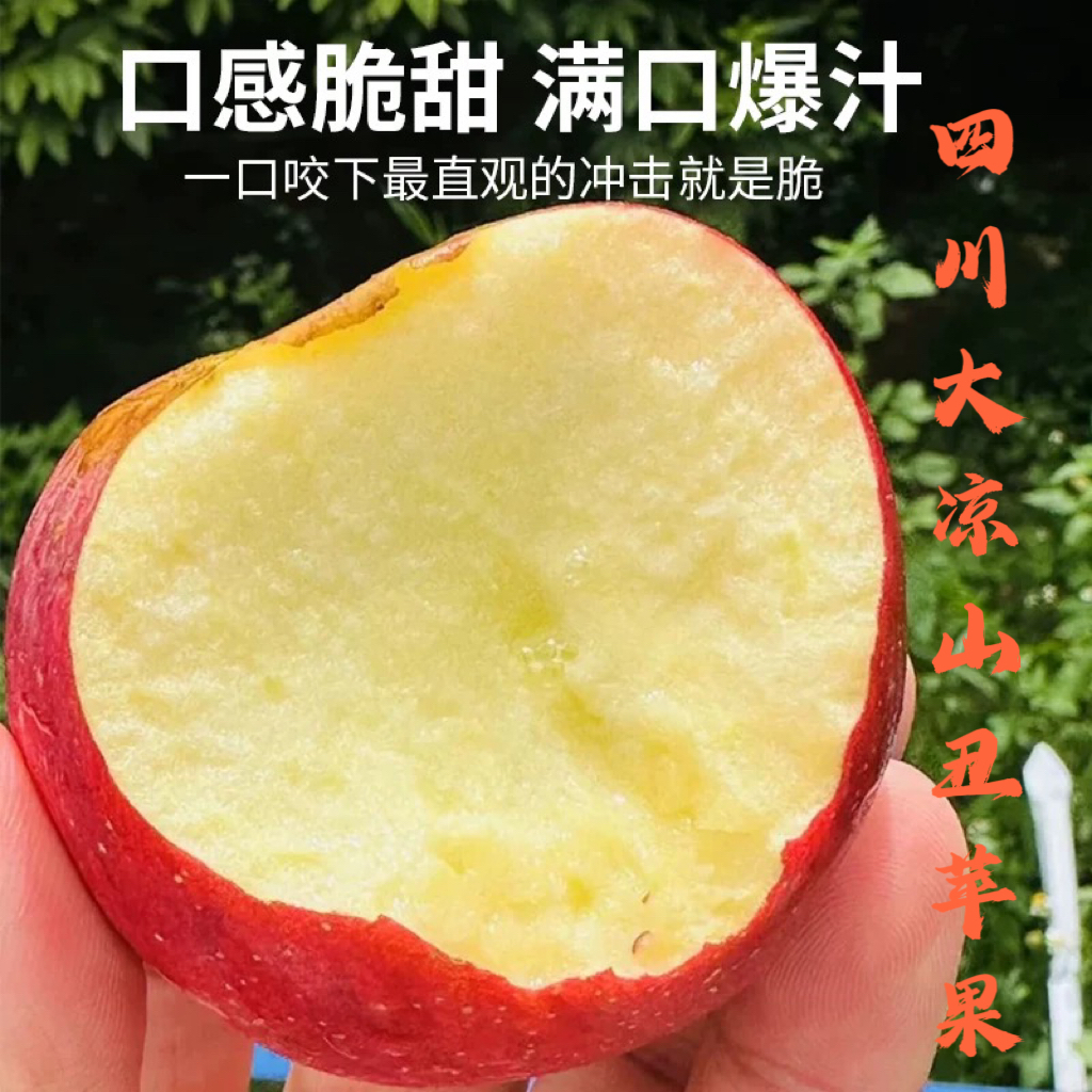 【头茬大凉山丑苹果】新鲜采摘应季水果盐源高原苹果现摘现发脆甜