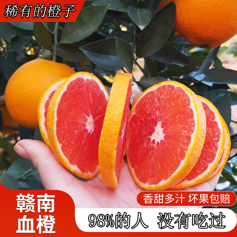 血橙江西赣南血橙新鲜现摘中华红橙子应季水果爆汁送礼大果整箱