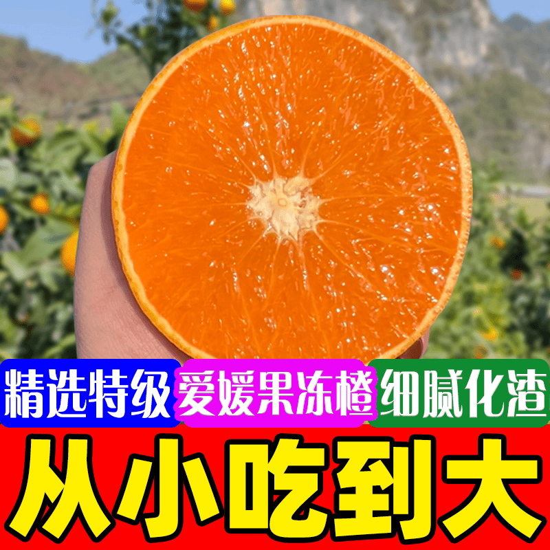 【精品】四川眉山爱媛38号果冻橙新鲜应季水果手拨橙细腻无籽无渣