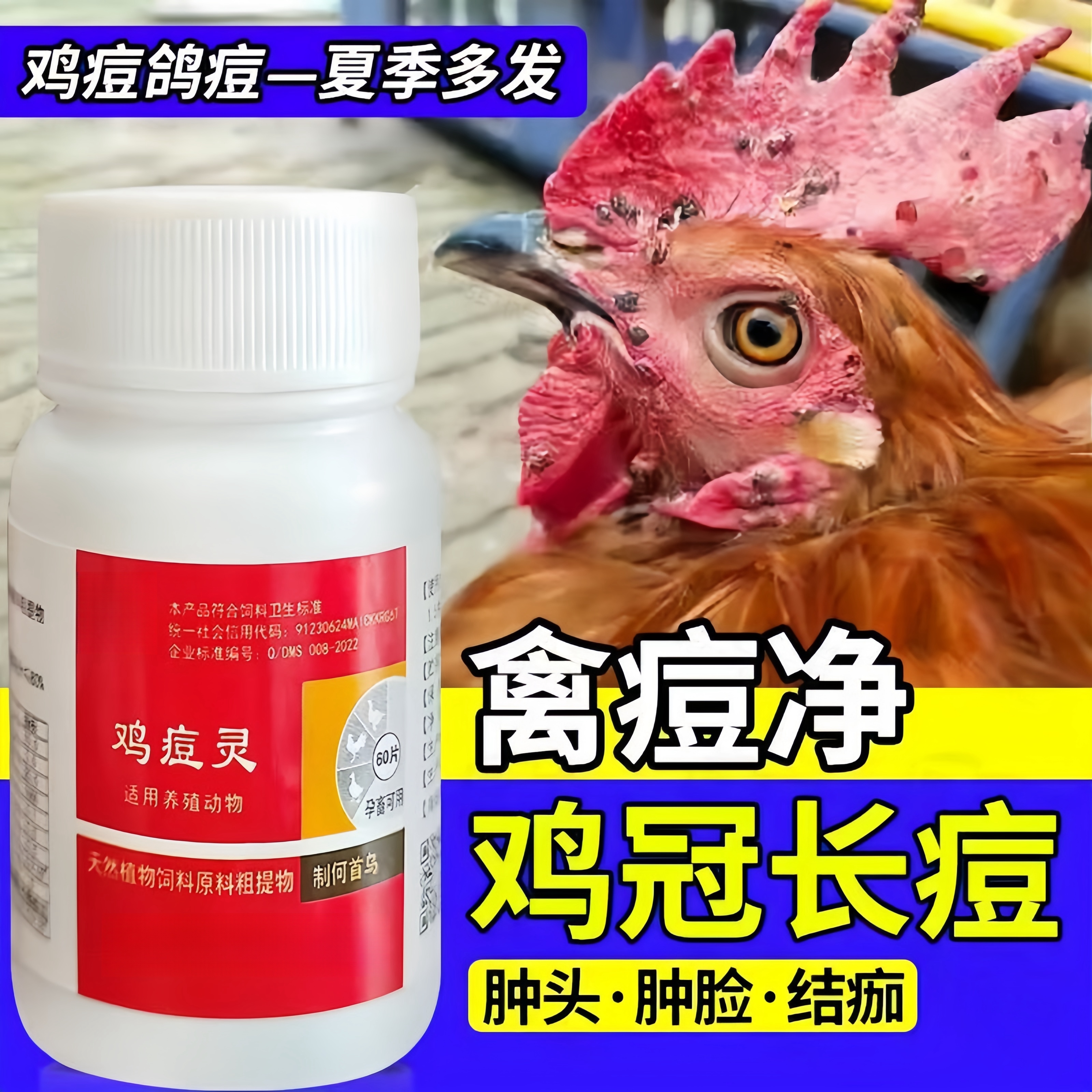 鸡痘灵禽豆消散养鸡蛋鸡鸽子可用鸡痘鸽痘斗鸡鸡冠长痘饲料添加剂