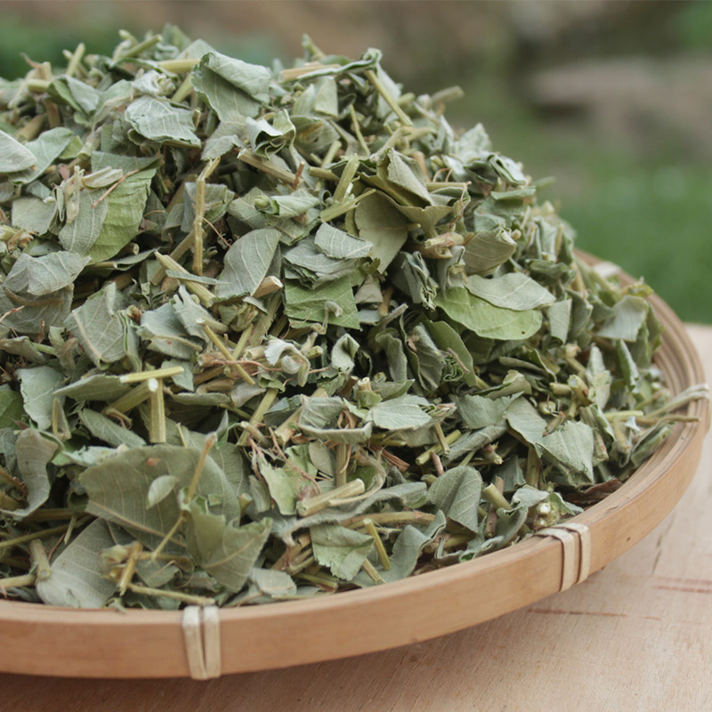 新货金钱草 正品广西正宗食用金钱草精选金钱草新鲜金钱草干货