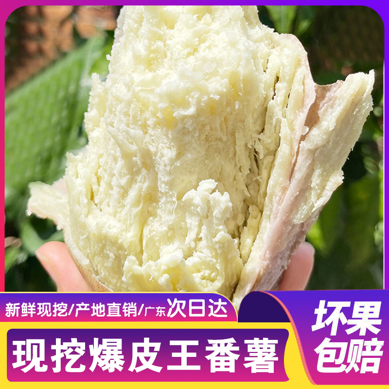 广东新鲜板栗薯沙地爆皮王番薯粉糯香甜白心地瓜红薯3/5/9斤现挖