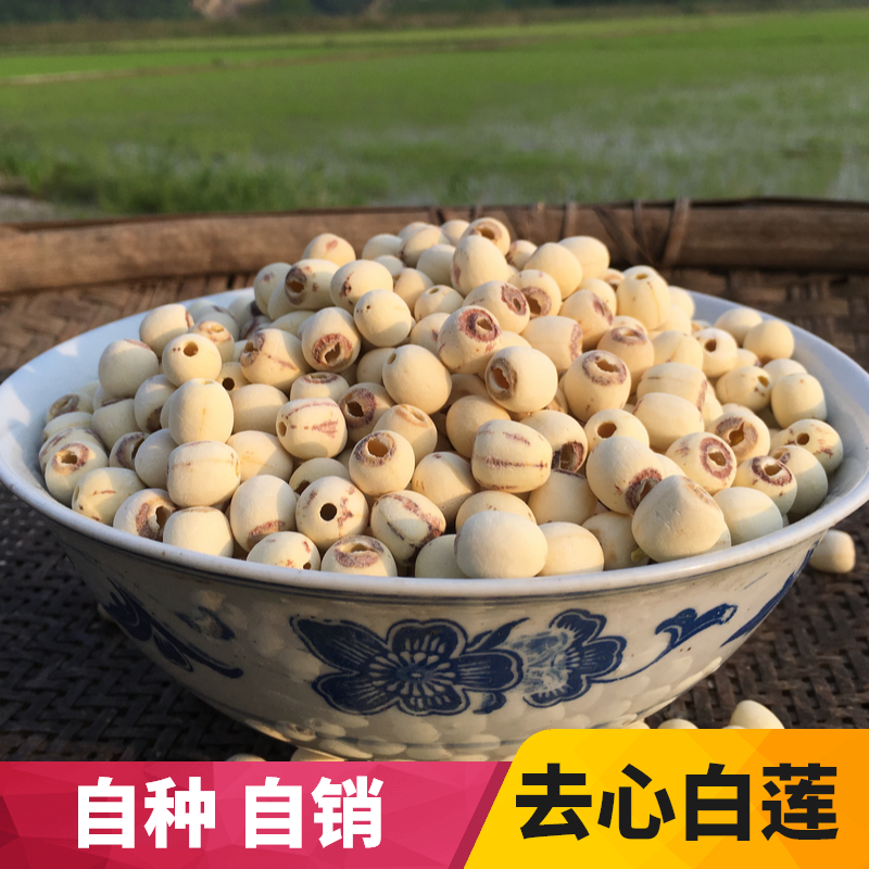 【莲子】湘潭农家磨皮白莲 红皮成熟莲子 口感粉糯湖南特产500g