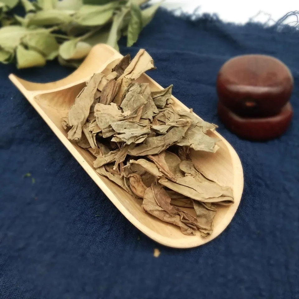 正宗龙利叶野生龙利叶叶菜新货农产品龙利叶 龙脷叶食材100g包邮